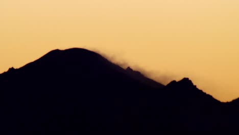 macro close up of mountain top silhouette at sunset, bird flying