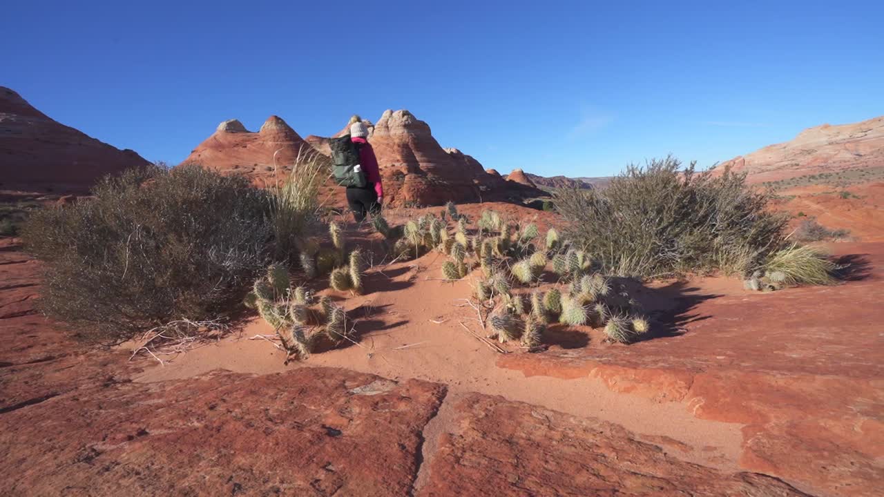excursionista camina entre cactus y arbustos en el desierto de arizona hacia buttes