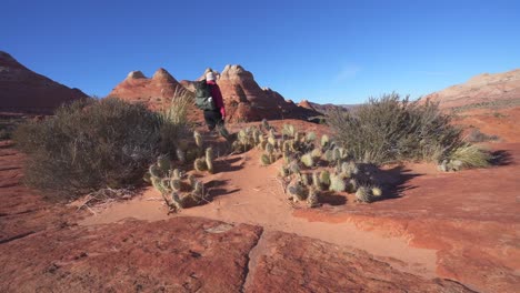 hiker walks past cactus and shrubs in arizona desert toward buttes