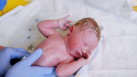caucasian newborn is unhappy to be disturbed by the doctor's check up. hands in blue latex gloves press on baby belly. close up.