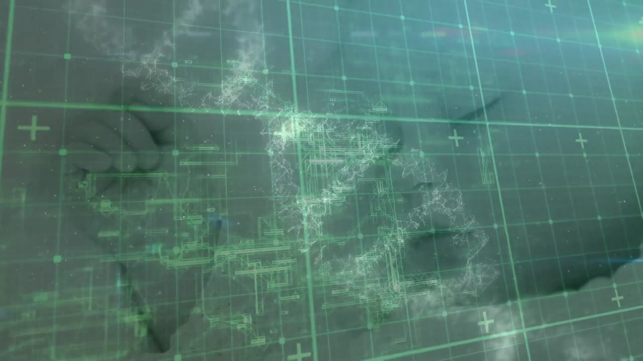 카우카시아 아기 잠자리에 대한 데이터 처리 및 dna 체인의 애니메이션