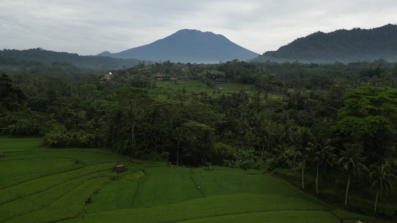 campos y escenas de la selva que conducen hacia el volcán épico, el monte agung en bali, indonesia
