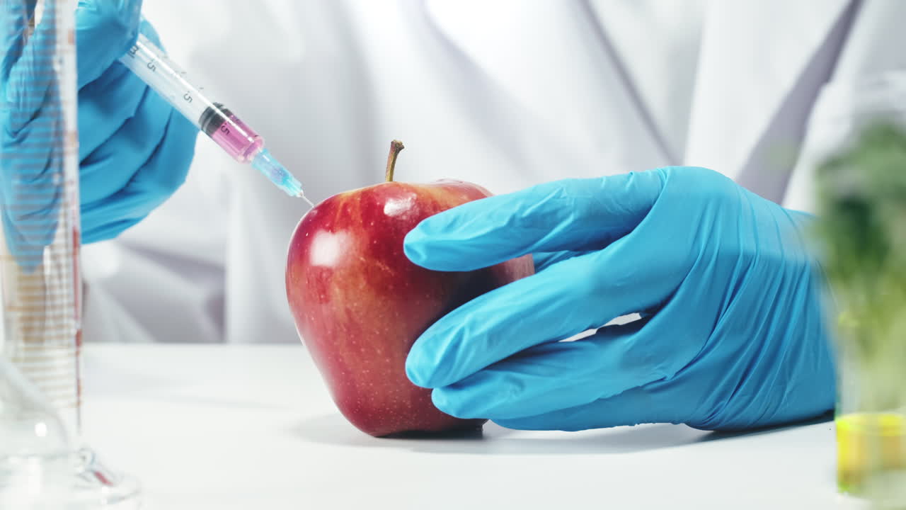 Genetic Modification of an Apple