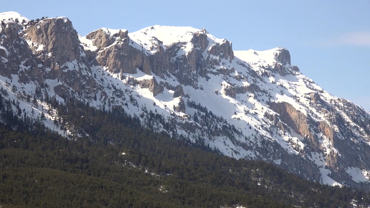 Cime montuose innevate con pineta