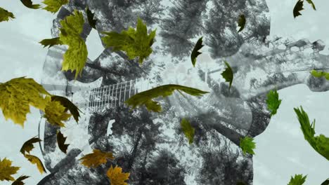 Animation-Fallender-Blätter-über-Der-Silhouette-Eines-Kaukasischen-Mannes,-Der-Gitarre-Spielt,-Und-Bäumen