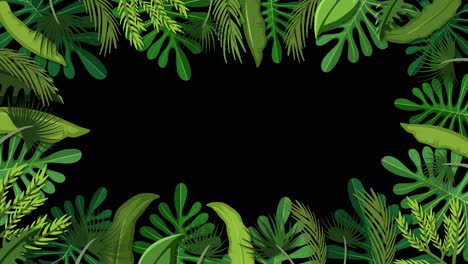 secuencia animada de plantas tropicales en crecimiento