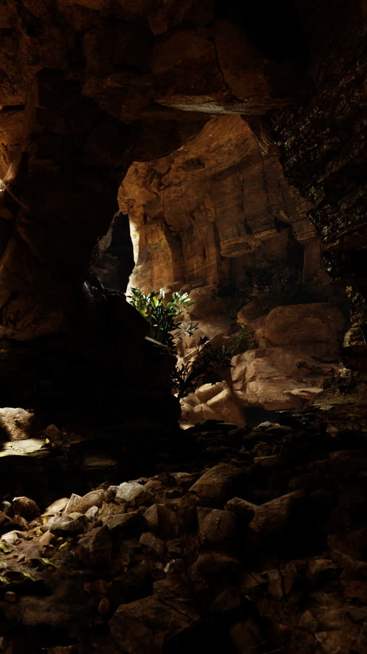 Scena di grotta con rocce e piante vicino a una piccola fonte di luce in un'area buia.