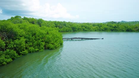 Locked-down-aerial-shot-of-rusty-leaking-pipe-running-into-lake-surrounded-by-mangroves,-dumping-sewage