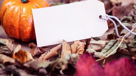 animation of white tag with copy space over pumpkin and autumn leaves