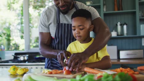 African-american-father-and-son-in-kitchen-wearing-aprons-and-preparing-dinner-together