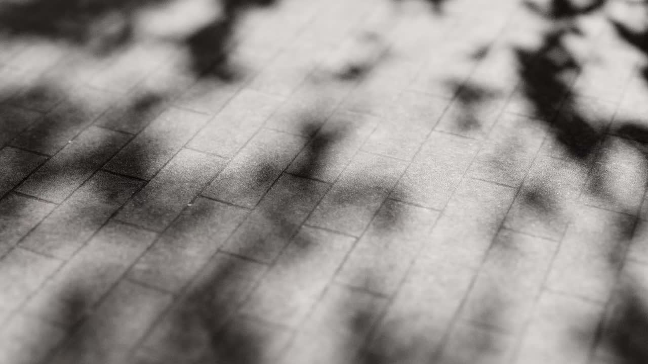 Dynamic Shadows Dancing on a Grayscale Grid Surface