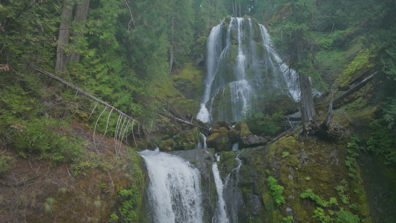Beautiful Falls Creek Falls in Washington State, Gifford Pinchot National Forest, low angle static shot, looking up the waterfall.