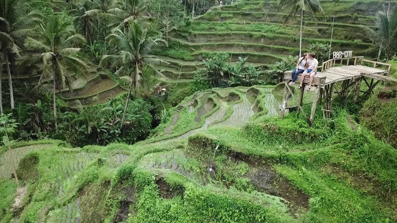 Teras Sawah Tegalalang, Bali, Pasangan Muda Penuh Kasih Berlibur Bersama
