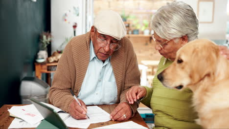 senior couple planning finances with their dog