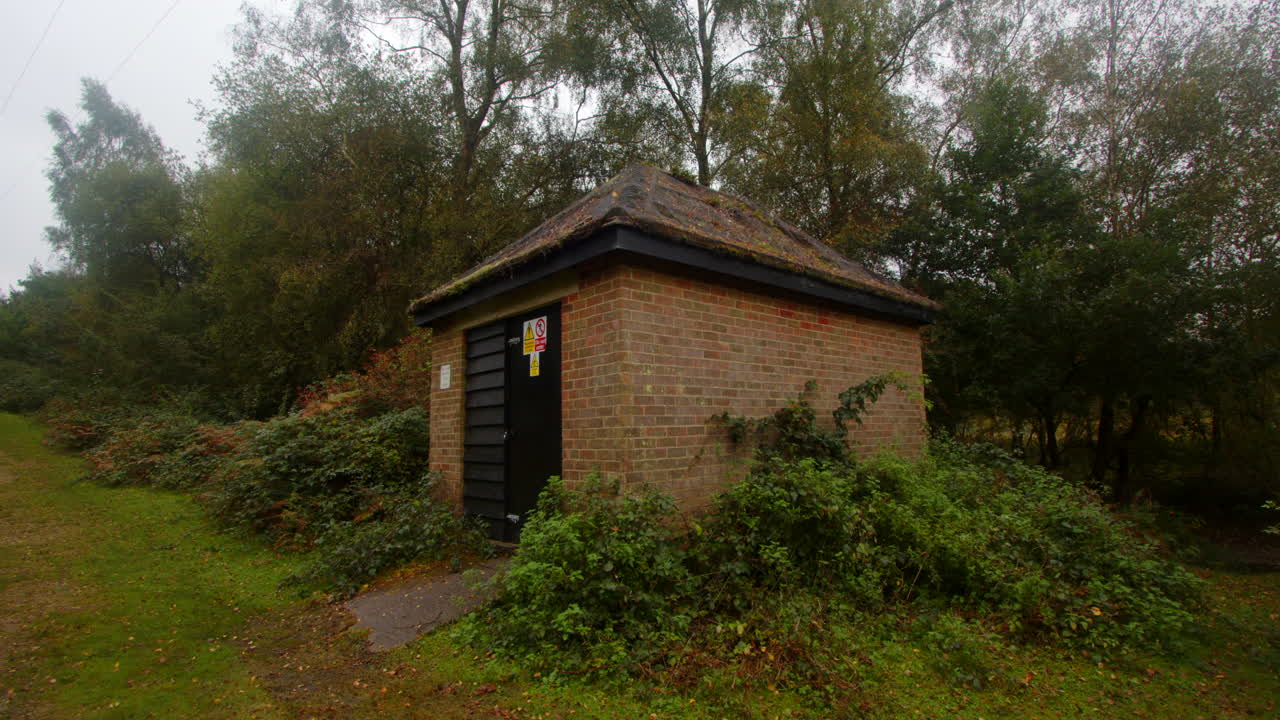 shot over utility building, centre of frame, in the New Forest