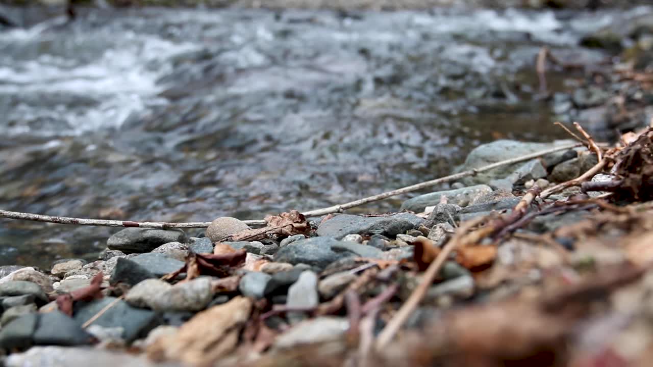 Flowing water in the background initially out of focus comes in to focus, transitioning from the rocks and natural vegetation initially visible in the shot.