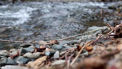 flowing water in the background initially out of focus comes in to focus, transitioning from the rocks and natural vegetation initially visible in the shot.
