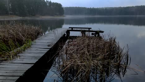 aerial shot over a pier of a foggy lake in autumn