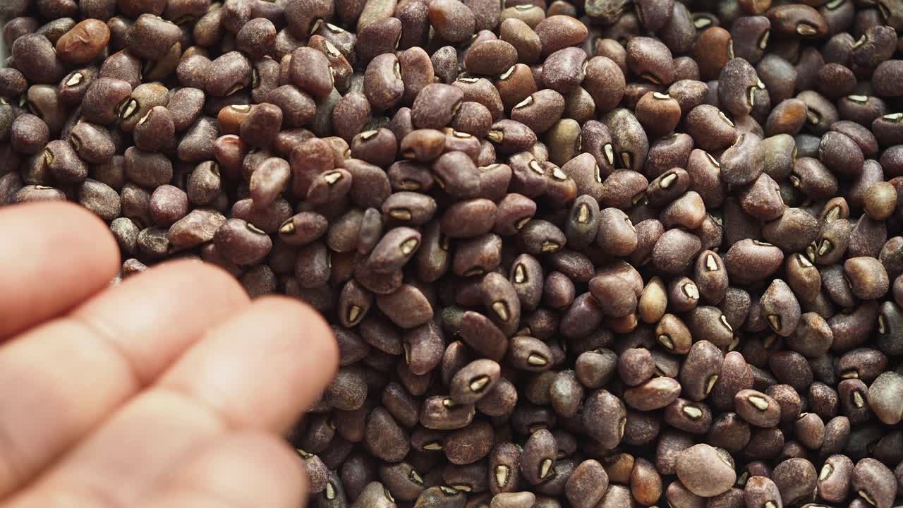 un puñado de frijoles secos