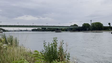 zoo bridge in cologne over the rhine with cable car in good weather