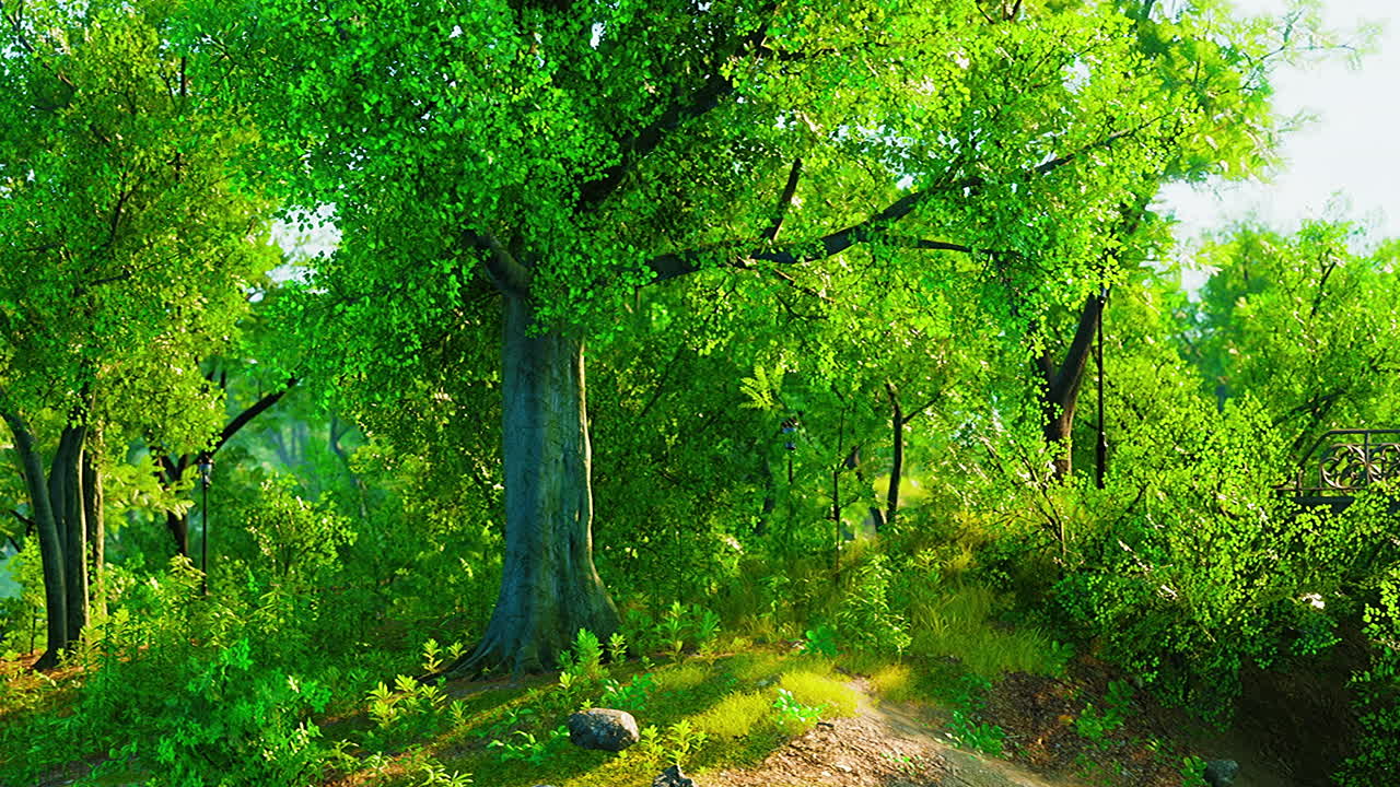 공원에서 아름다운 경치