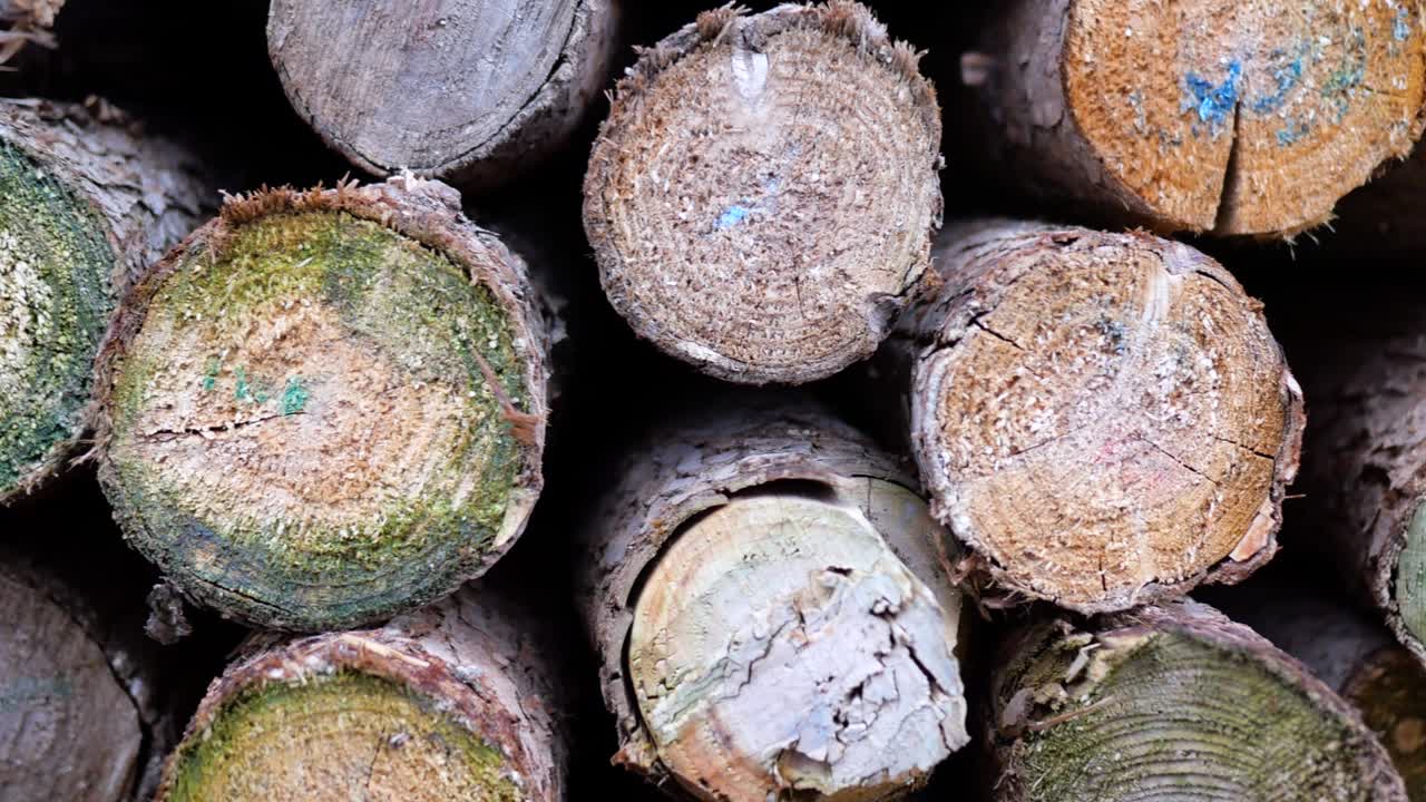 숲 농장에서 나온 목재