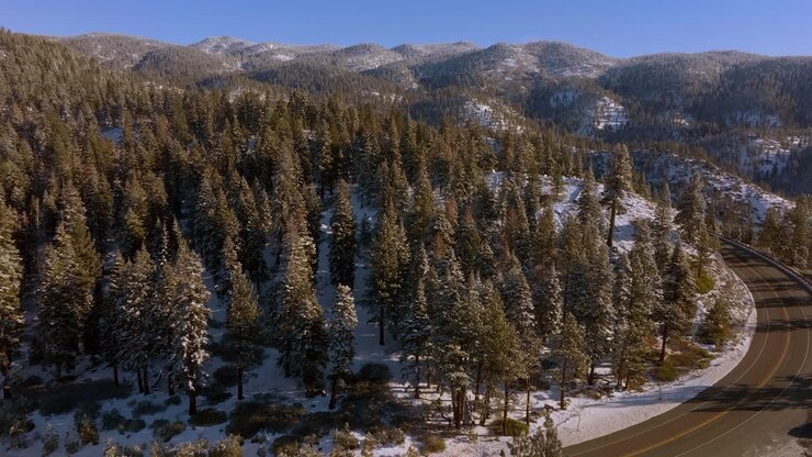 Scorrendo oltre la strada tra le montagne del Lago Tahoe e sopra gli abeti di Douglas in una splendida giornata invernale in Nevada.