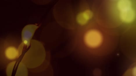animación de manchas de luz naranja sobre fondo oscuro