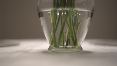 flower stems in water in glass vase on breakfast, lunch, dinner table