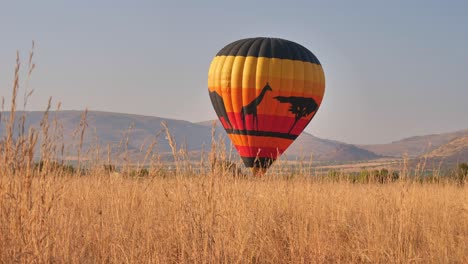 hot air balloon over a field