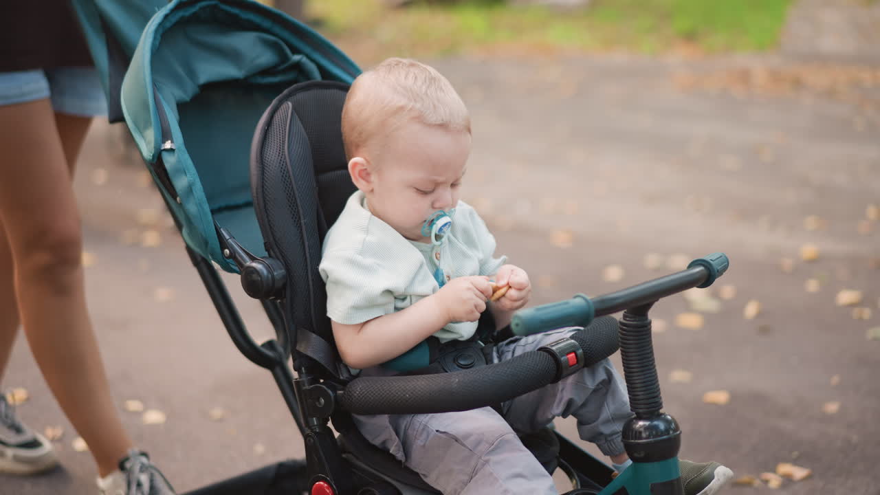 White baby exploring small found object in stroller on park path, focused hands picking at leaf or snack, pacifier present, autumn leaves underfoot, tender family lifestyle discovery scene