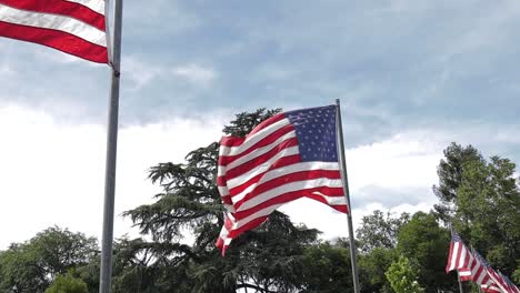 Video-En-Cámara-Lenta-Que-Muestra-Una-Fila-De-Banderas-Americanas-Ondeando-En-El-Viento-Lenta-Y-Dramáticamente-Revelando-Una-Sola-Bandera-Americana,-Configurada-Para-El-Día-Conmemorativo-2019-En-Un-Cementerio-Regional-En-California