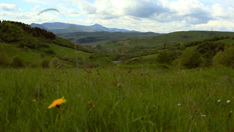 paisaje de prados en las montañas. pasto de montaña de verano