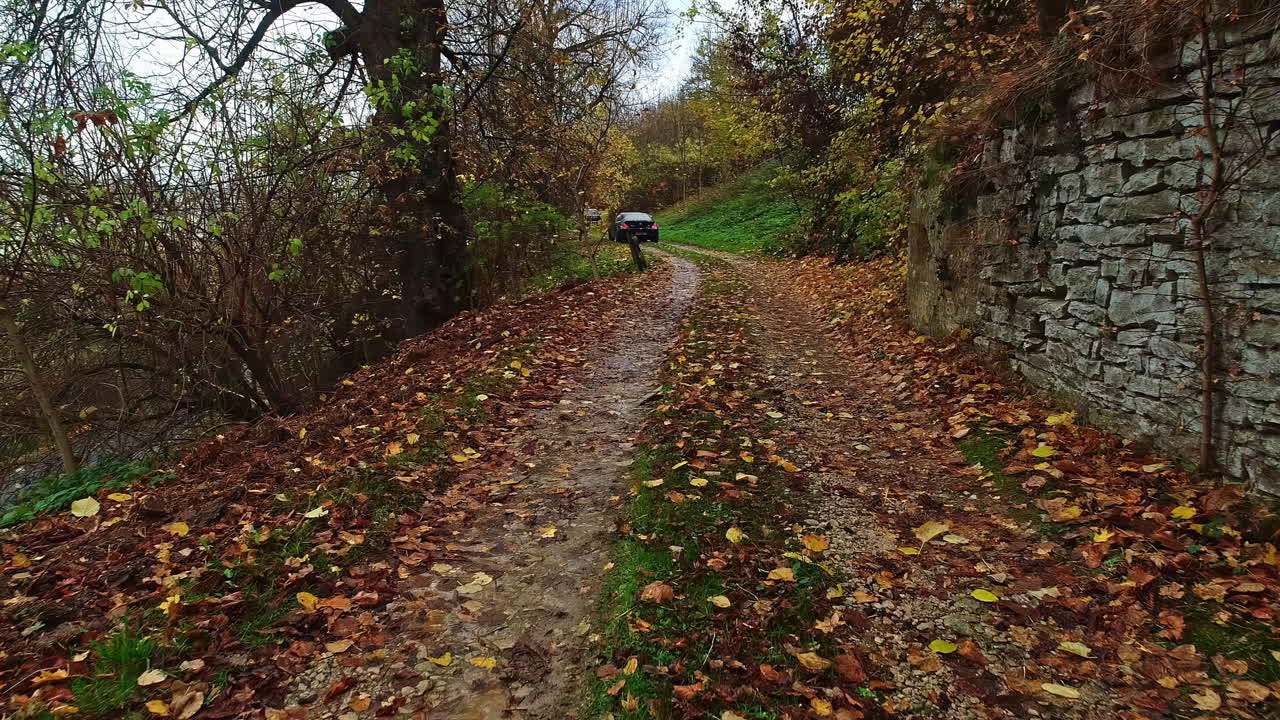 dron volando bajo en bosques y bosques siguiendo a los autos que conducen fuera de la carretera