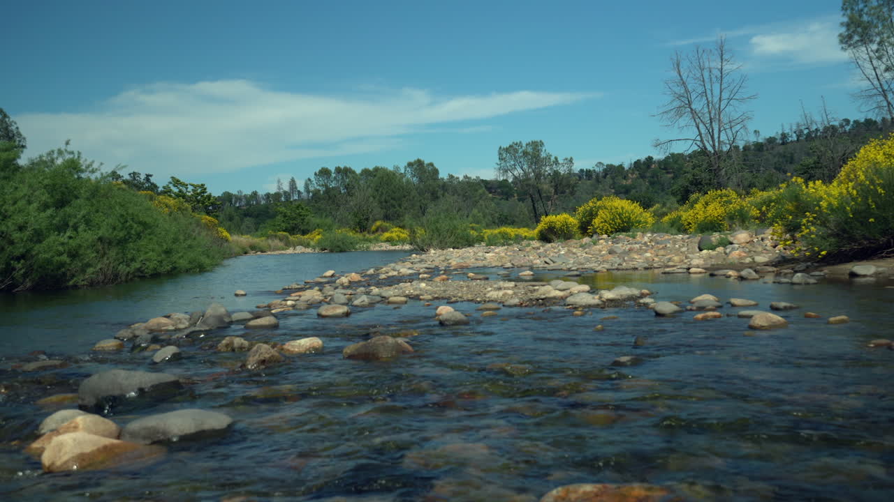 Acqua cristallina che scorre dolcemente in un ruscello poco profondo, circondata da rigogliosi cespugli dorati nella California settentrionale.