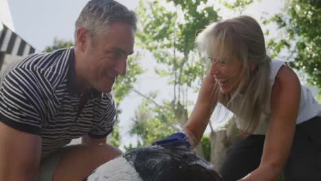 Couple-washing-dog-in-their-garden-