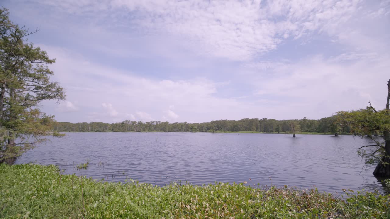 Serene Lake Landscape with Lush Vegetation
