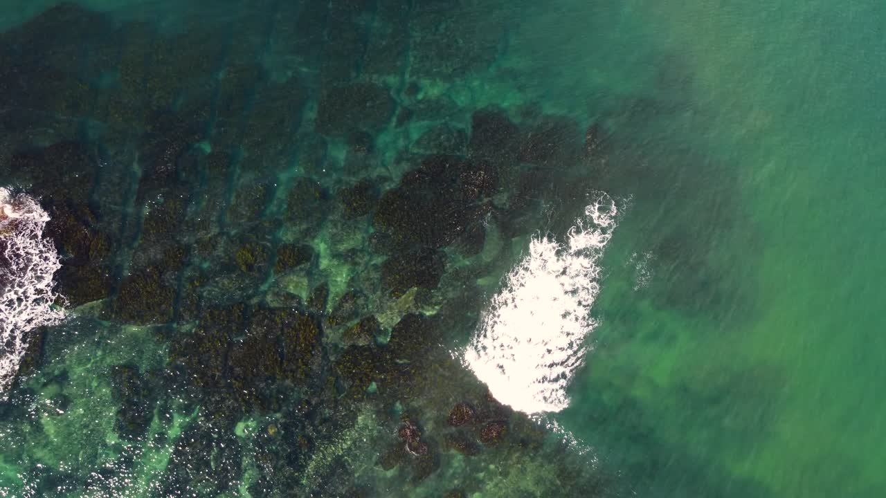 Vista aerea con drone a volo d'uccello di una barriera corallina rocciosa e cristallina con alghe sul fondale dell'Oceano Pacifico, paesaggio naturale, viaggi, turismo, Soldiers Beach NSW Central Coast Australia 4K