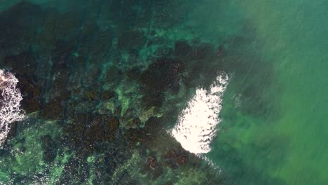 dron aéreo ojo de pájaro cristalino algas marinas arrecife rocoso fondo del océano pacífico naturaleza paisajes viajes turismo soldados playa nsw costa central australia 4k