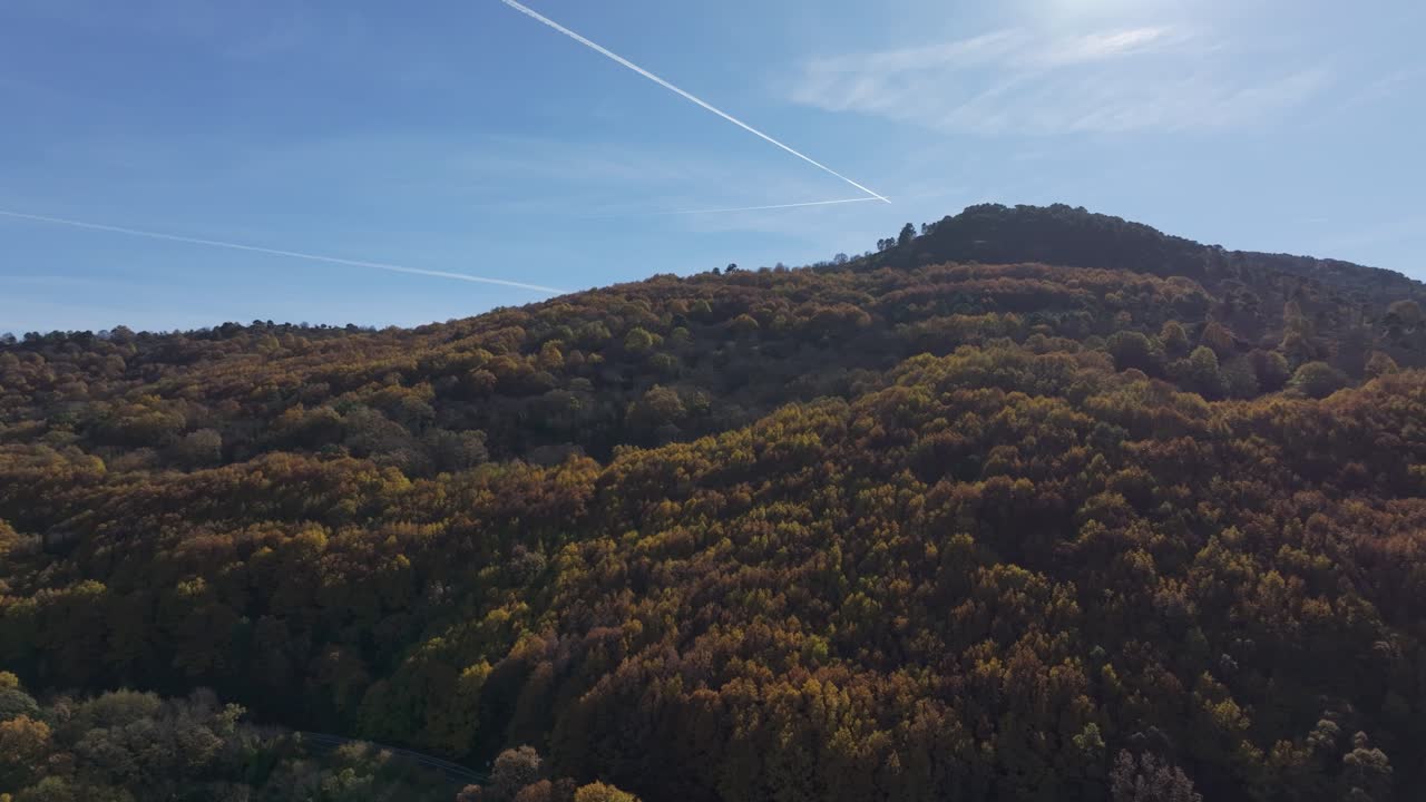 Virata del drone sopra una montagna coperta da una foresta di castagni in autunno, mostrando vivaci colori autunnali e una scia di aereo che attraversa un cielo azzurro e limpido verso la cima