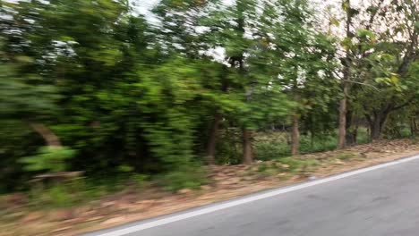 roadside trees and canal in ayutthaya, thailand