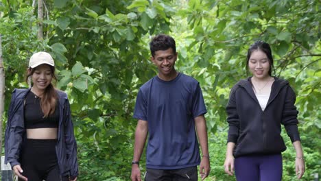 three people walking through a forest