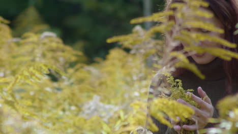 Woman-gently-and-carefully-touches-yellow-plants-in-a-flowering-meadow