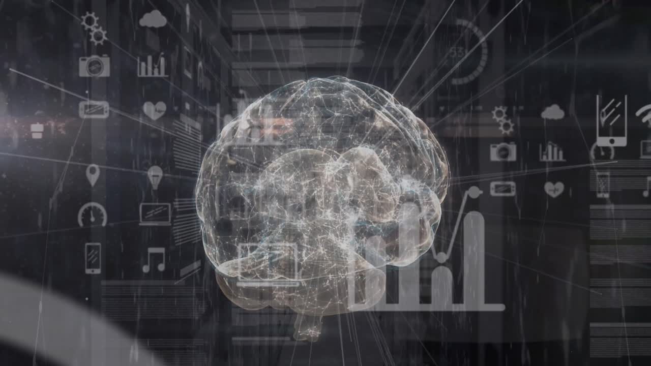 인간 뇌의 애니메이션과 연결 네트워크를 통한 데이터 처리