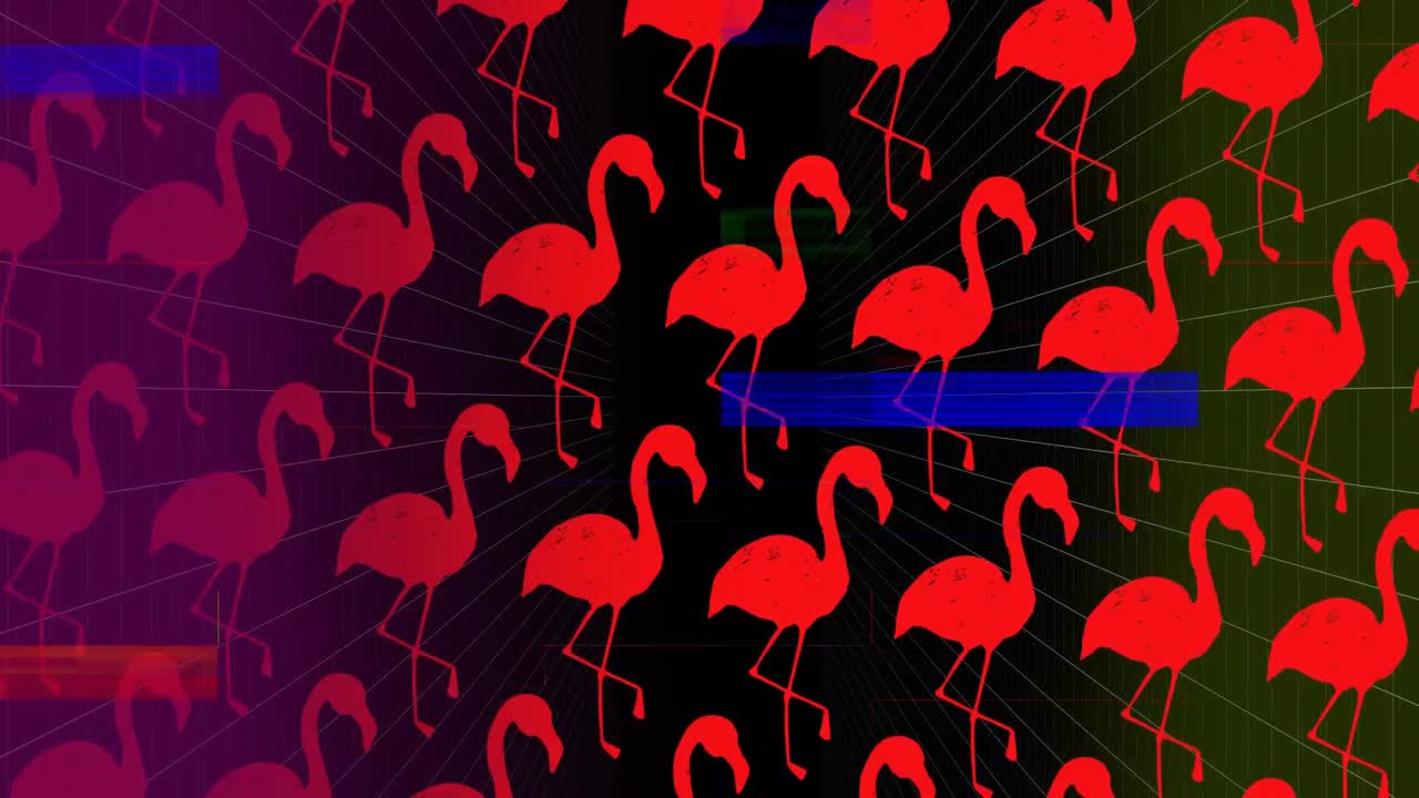 efecto mezclado colorido contra flamencos rosados en fondo oscuro