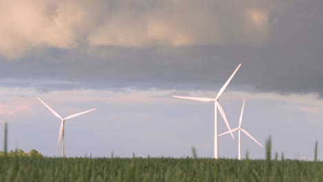 Aerogeneradores-En-Campo-De-Trigo