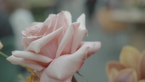 Statische-Aufnahme-Mit-Fokus-Auf-Eine-Rosa-Rose-Mit-Verschwommenem-Hochzeitsempfang-Im-Hintergrund