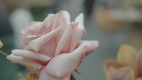 static shot focused on pink rose with wedding reception blurred in the background