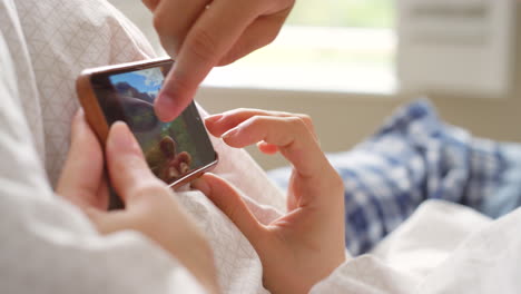 person viewing a photo on a mobile phone