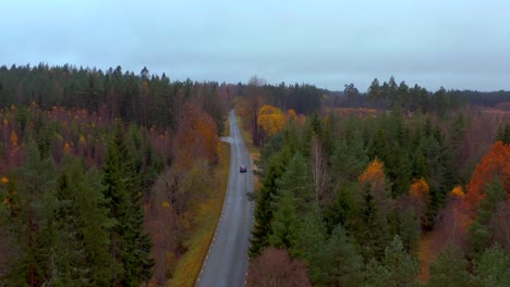 Seguimiento-Aéreo-De-La-Conducción-De-Automóviles-A-Lo-Largo-De-La-Carretera-Rural-En-Un-Denso-Bosque-De-Pinos,-Suecia